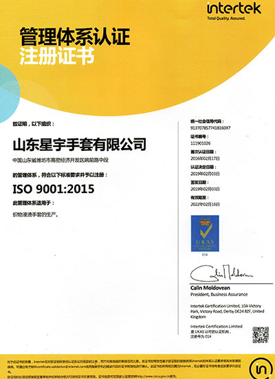 IS9001 International Quality System